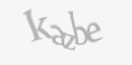 Защитный код